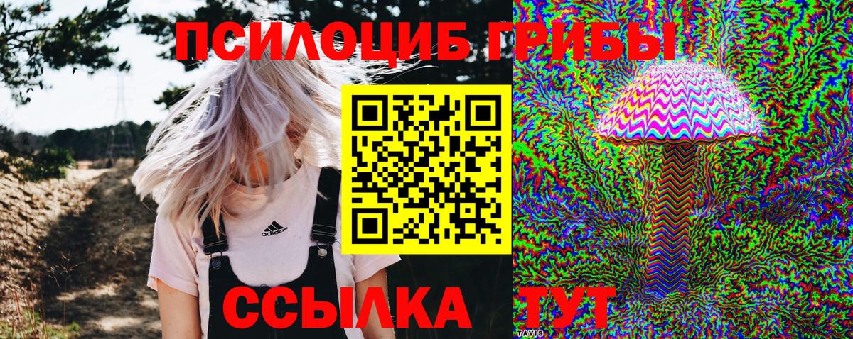 Псилоцибиновые грибы мухоморы Среднеуральск