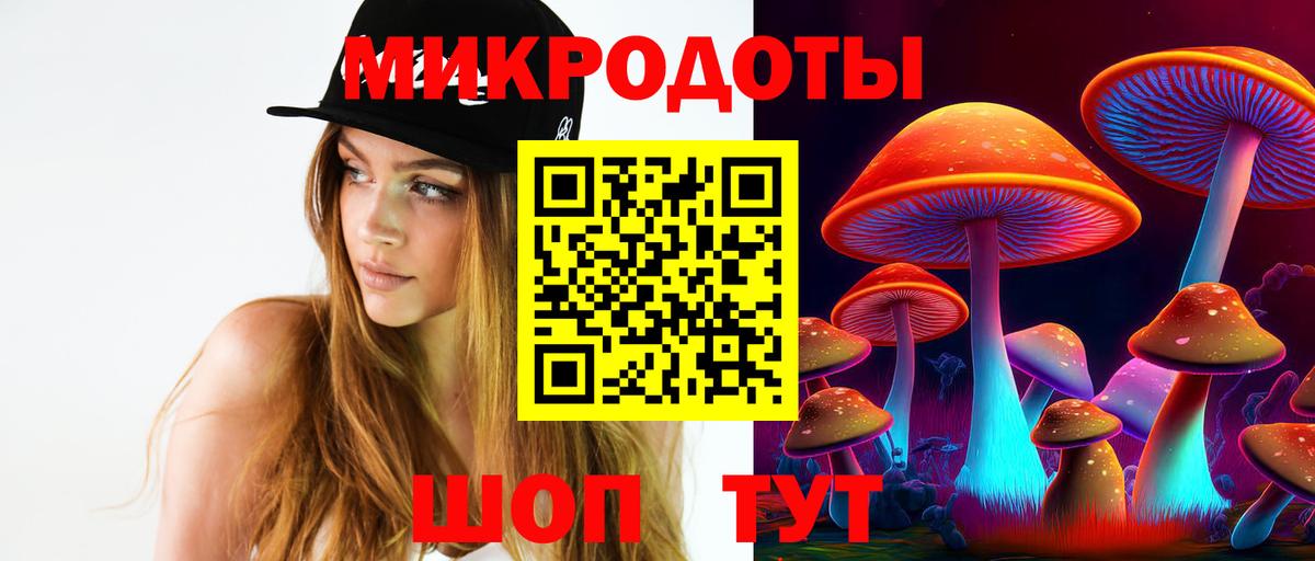 хочу наркоту  Вход с VPN  Среднеуральск  Галлюциногенные грибы Psilocybe 
